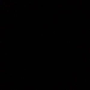 Meet your Posher, Ava